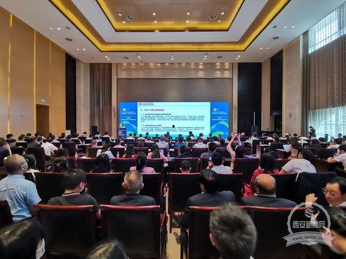 河南爆料西安新闻最新消息  第3张